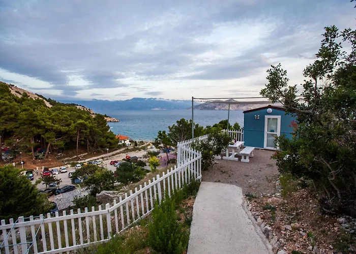 Bunculuka באסקה